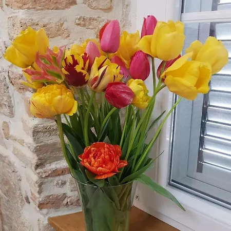 Studio Sunset 公寓 扎达尔