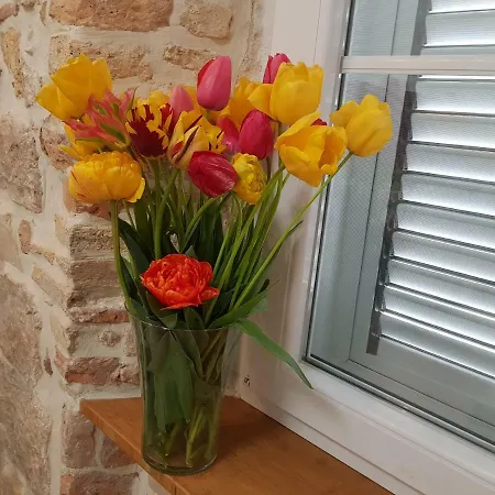 Studio Sunset Appartamento