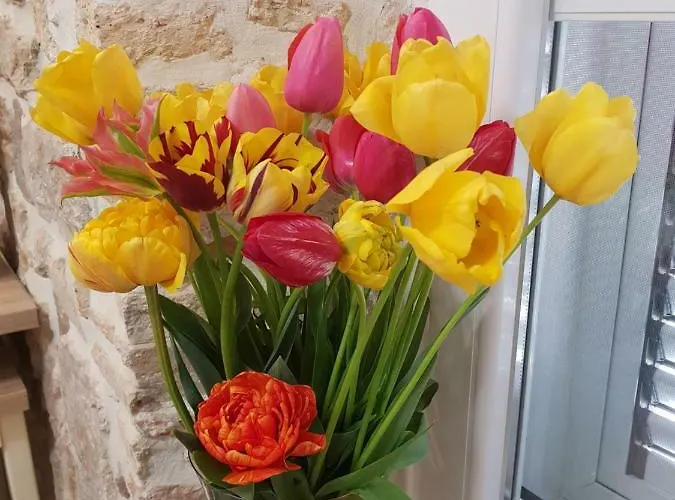 Appartamento Studio Sunset Zara