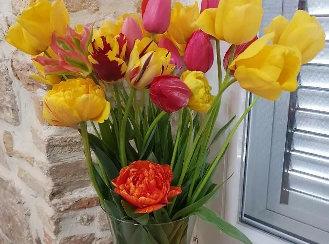 Studio Sunset Apartment Zadar