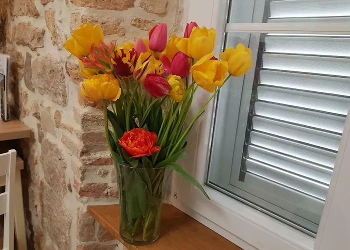 Studio Sunset Apartment